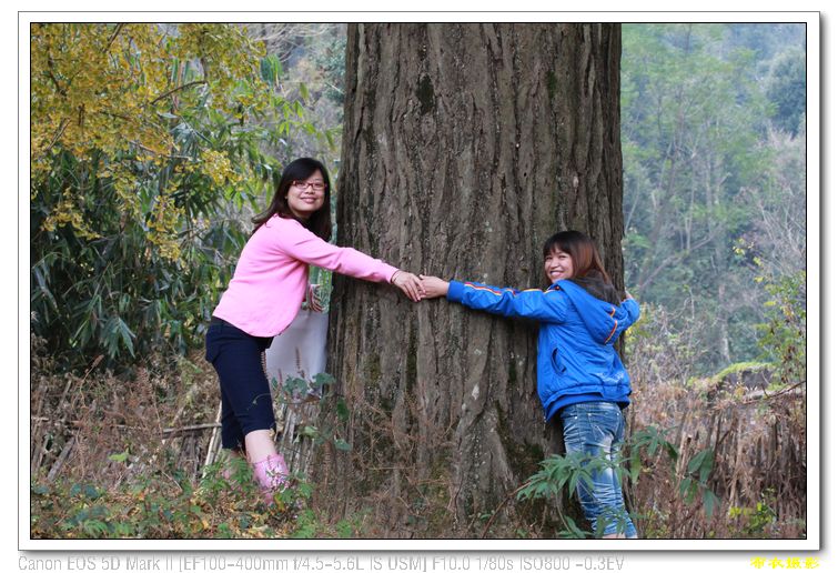 nEO_IMG_��Ƭ 390.jpg