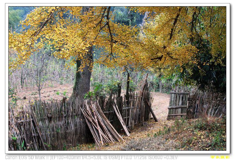 nEO_IMG_��Ƭ 386.jpg