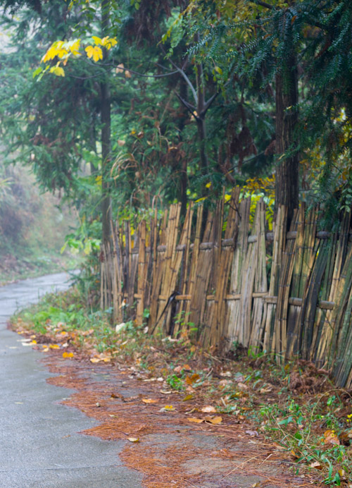 ʪ�����ʵ�����