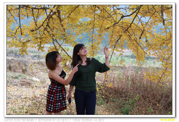 nEO_IMG_��Ƭ 509.jpg