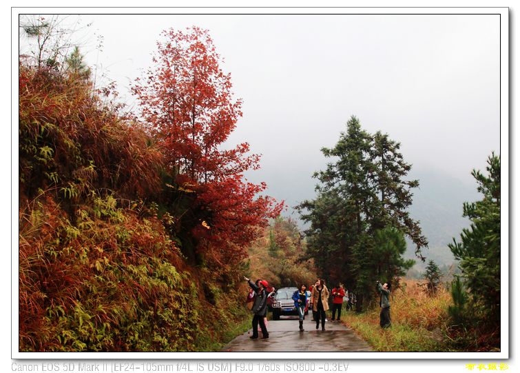 nEO_IMG_��Ƭ 549.jpg