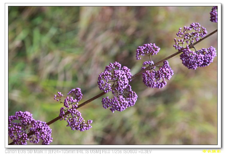 nEO_IMG_��Ƭ 562.jpg