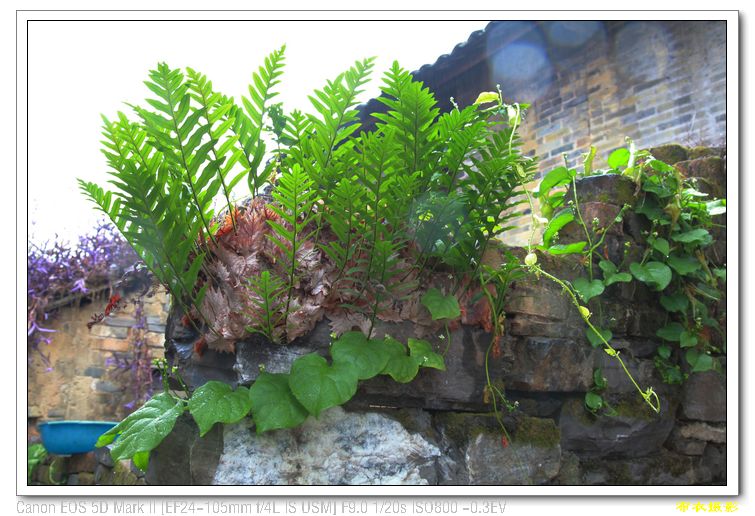 nEO_IMG_��Ƭ 628.jpg