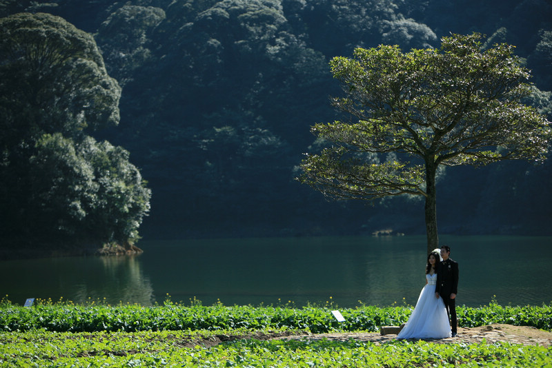 ���Ļ�ɴҲѡ��������