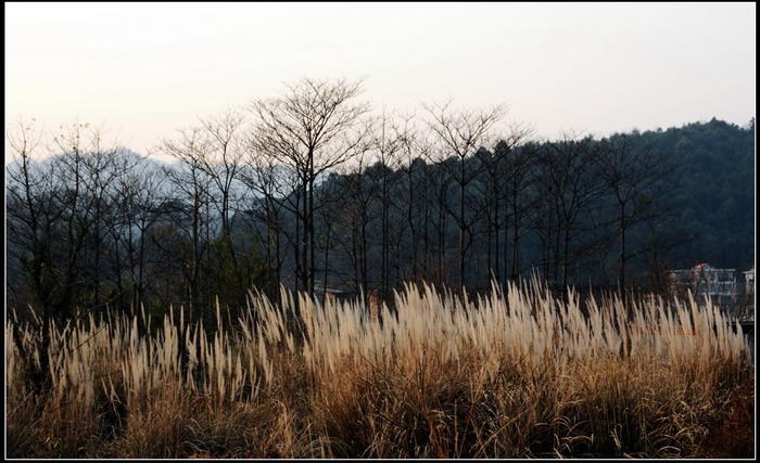 ��ɽʯ��ɽ 130_������С.jpg