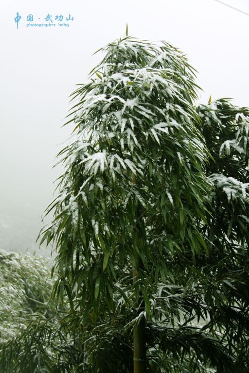 ���Ӵ�����