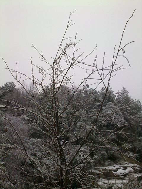 ��Ƭ ѩ��2.jpg