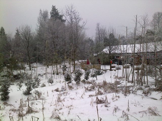 �������żҽ�