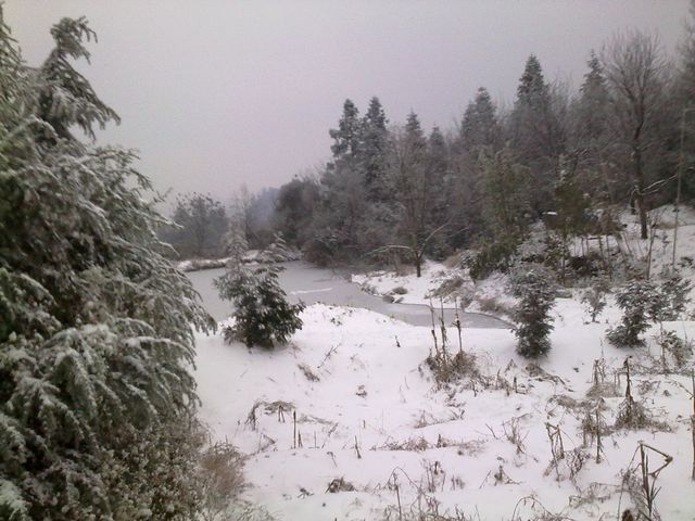 Ԭ�ҽ�������ɫ