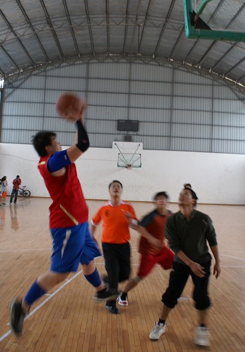 ���ת����Ͷ