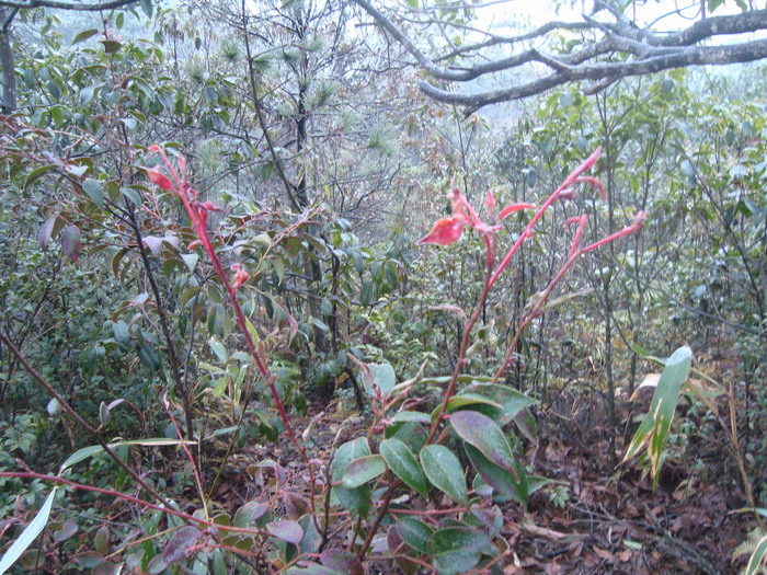 ����Ҳ�޷��������������Q