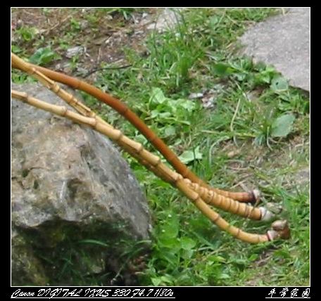 ����Ƭ 094.jpg