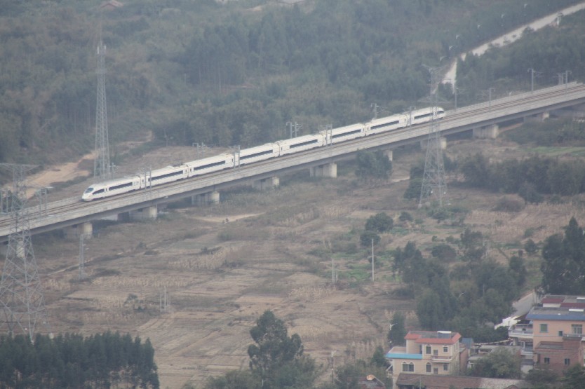 2011��Ԫ����Ͽ�� (13).JPG