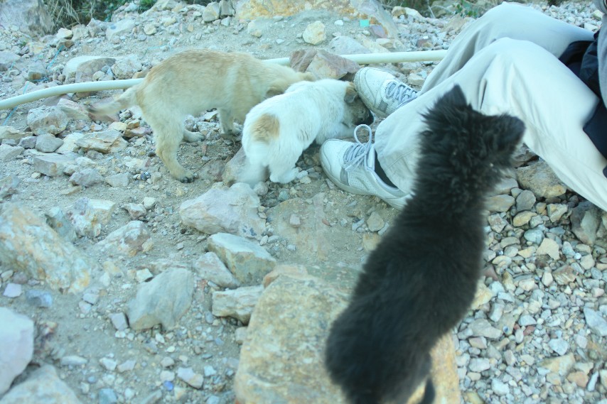 2011��Ԫ����Ͽ�� (25).JPG