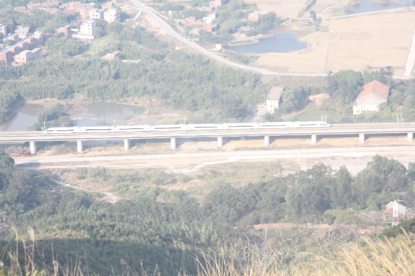 2011��Ԫ����Ͽ�� (20).JPG