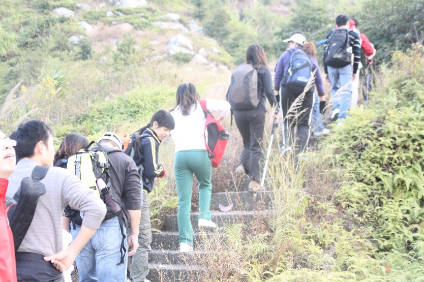 2011��Ԫ����Ͽ�� (9).JPG