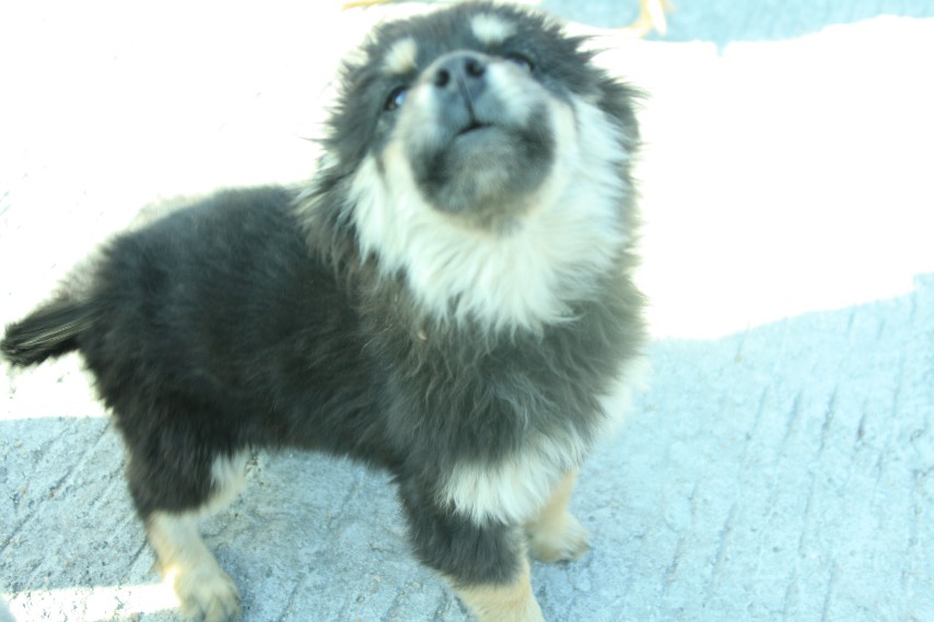 2011��Ԫ����Ͽ�� (28).JPG