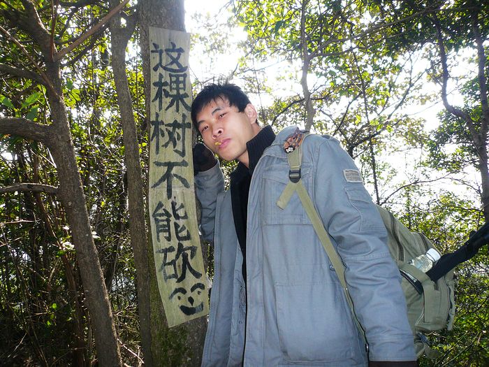 Ҫ������������