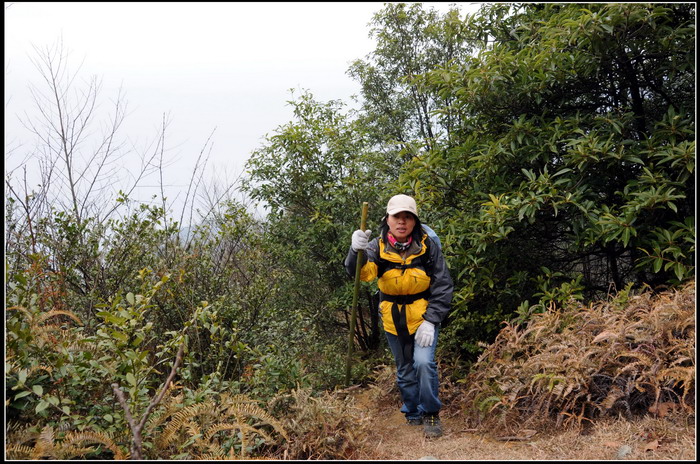 ��ɽʯ��ɽ 210_������С.jpg