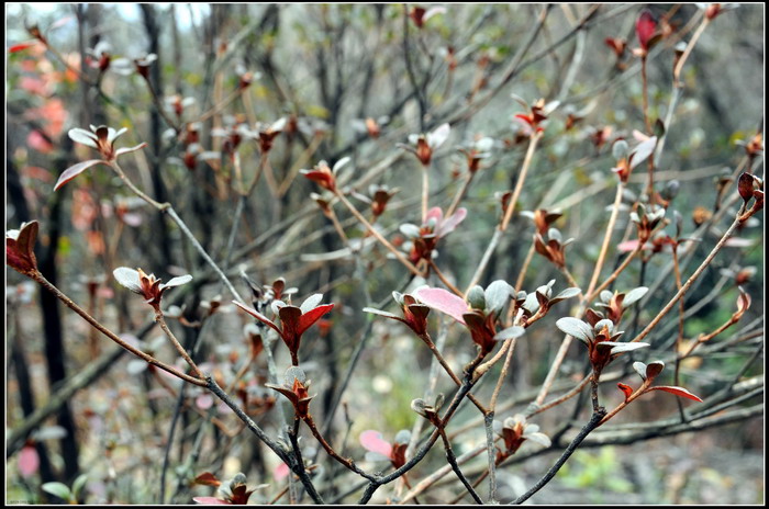 ��ɽʯ��ɽ 211_������С.jpg