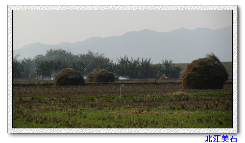 ���� 012.jpg