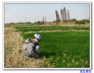 ���� 008.jpg