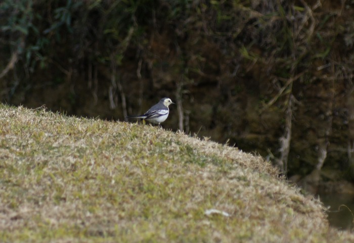 ������С _DSC2427.JPG