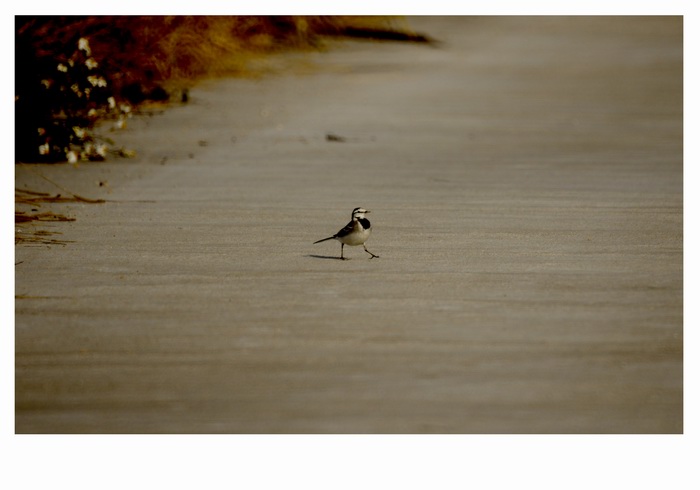 ������С _DSC2357.JPG