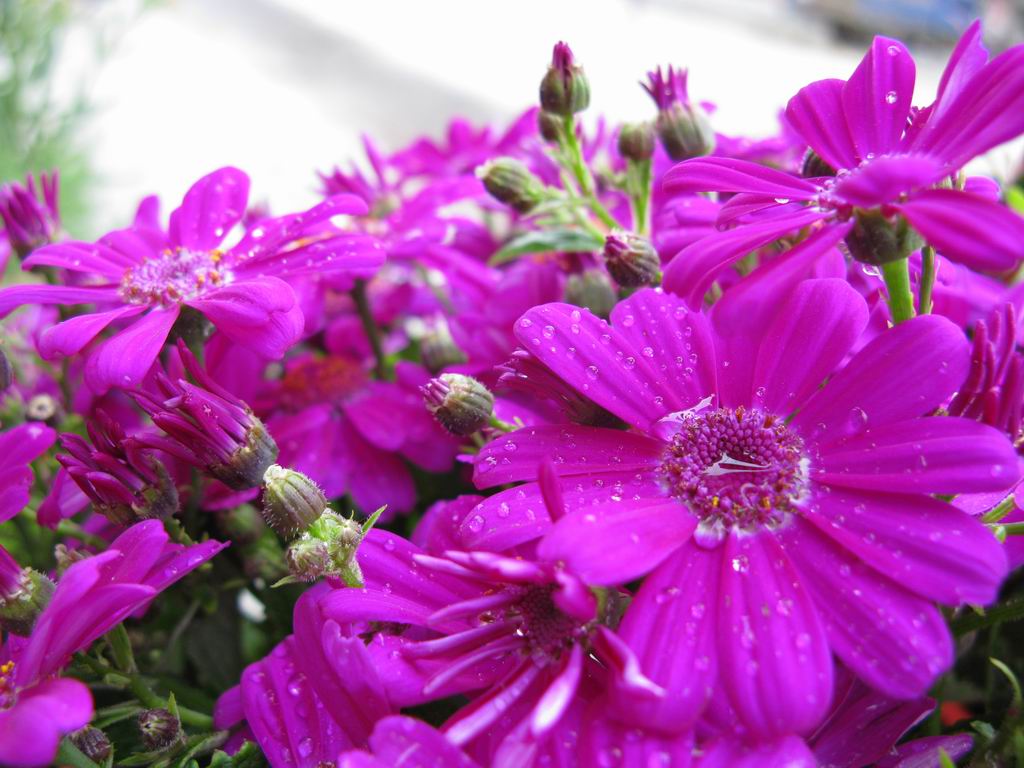 ������С IMG_6844.JPG