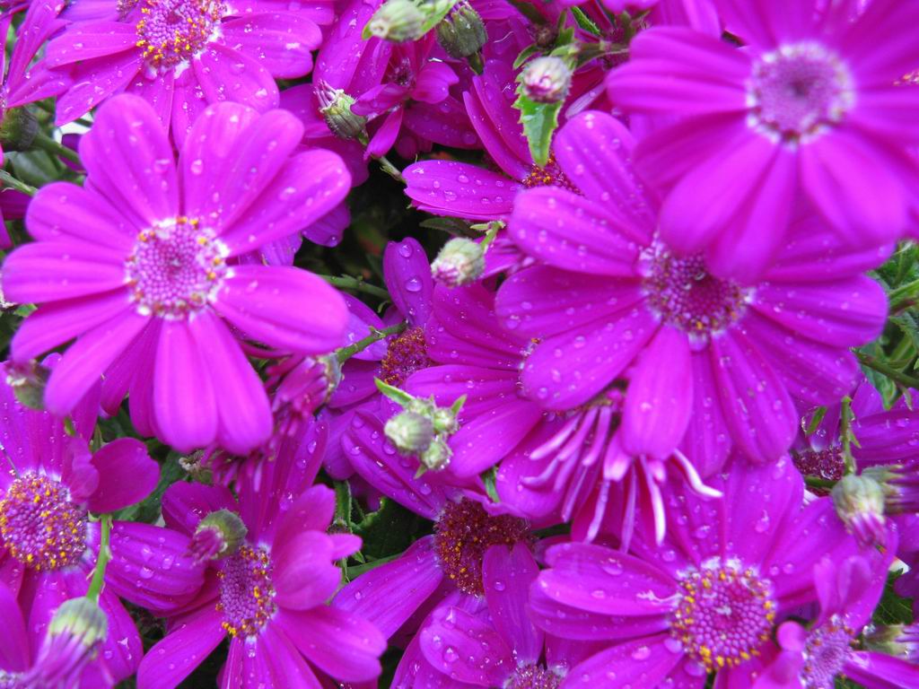 ������С IMG_6836.JPG