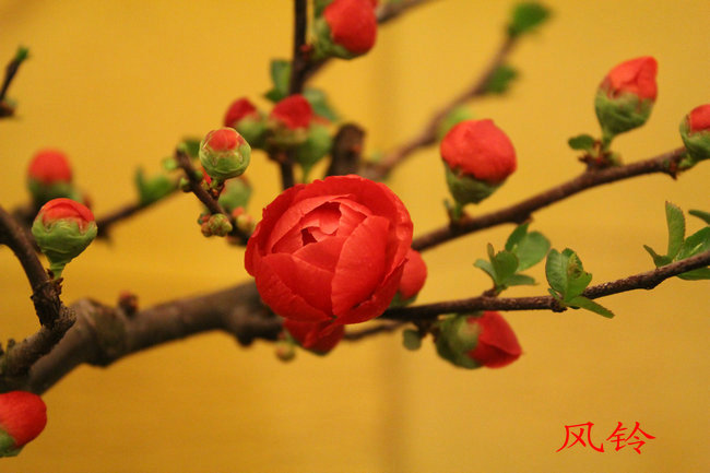 �ҵļ� 024_����.jpg