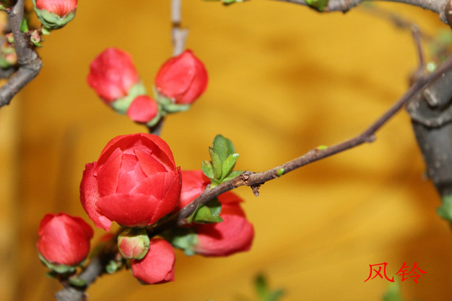 �ҵļ� 038_����.jpg