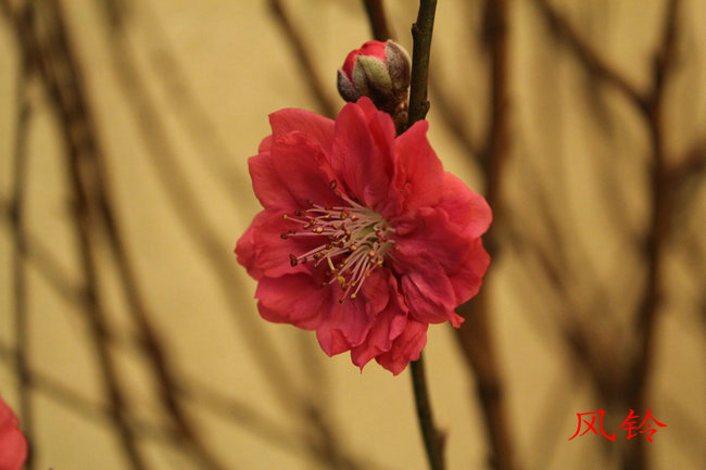 �ҵļ� 065_����.jpg