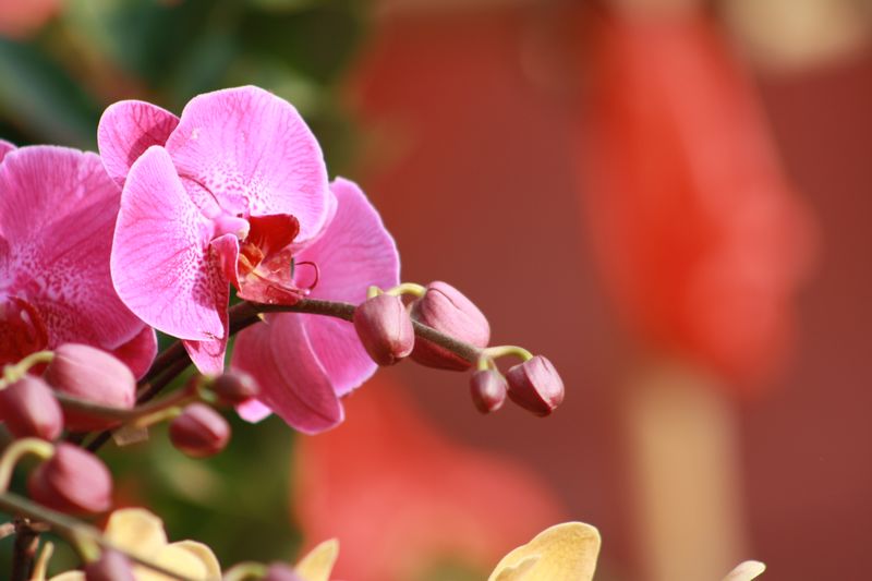 �����! 039.jpg