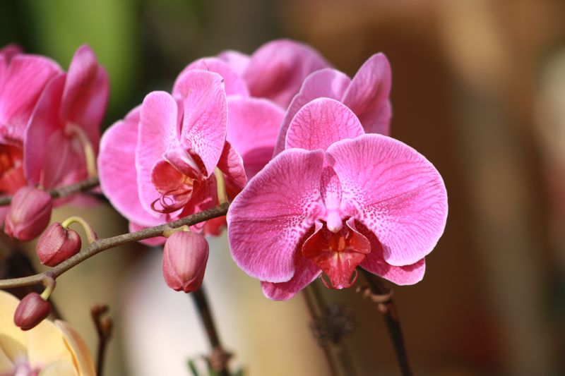 �����! 038.jpg