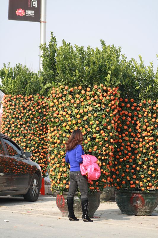 �����! 032.jpg