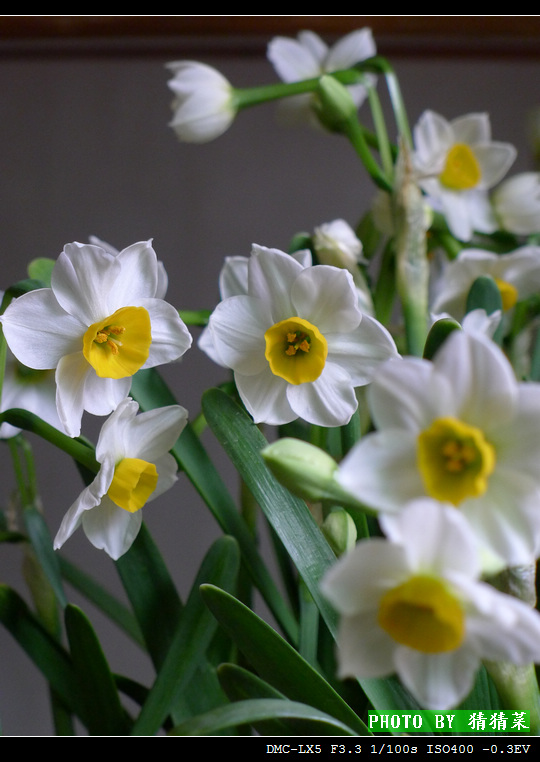 ˮ�ɻ�����1