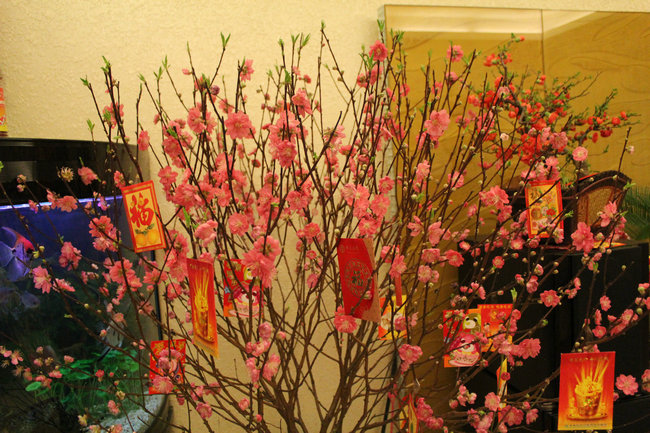 11����һ� 008_����.jpg