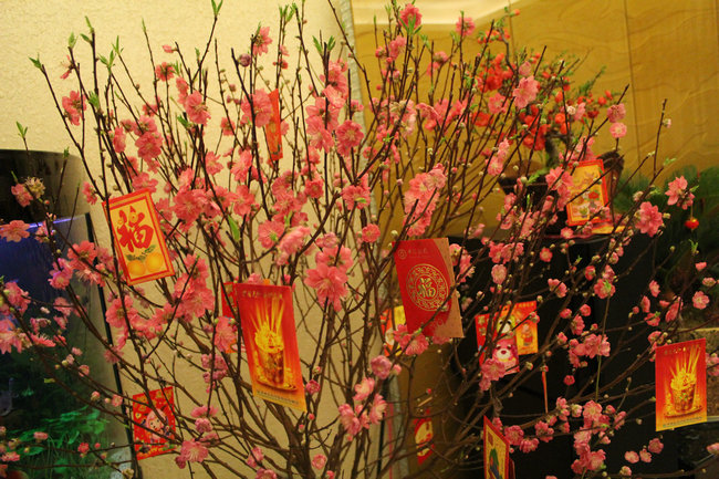 11����һ� 011_����.jpg