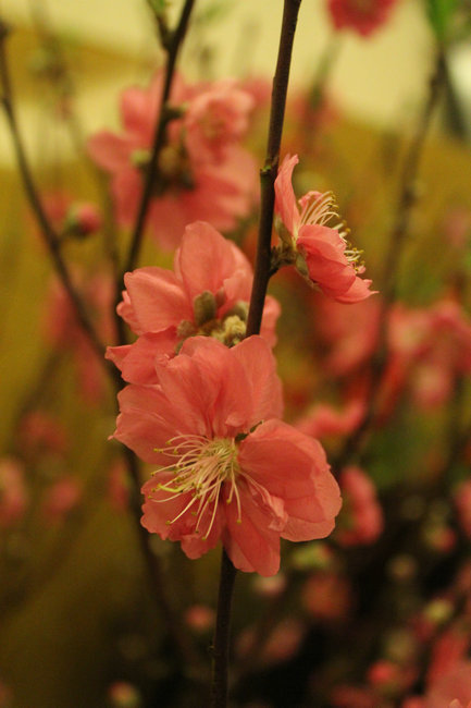 11����һ� 013_����.jpg