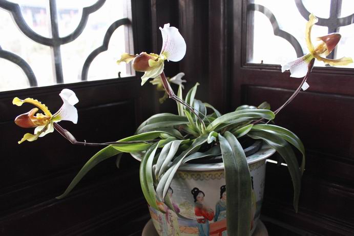 û����ɵ�����