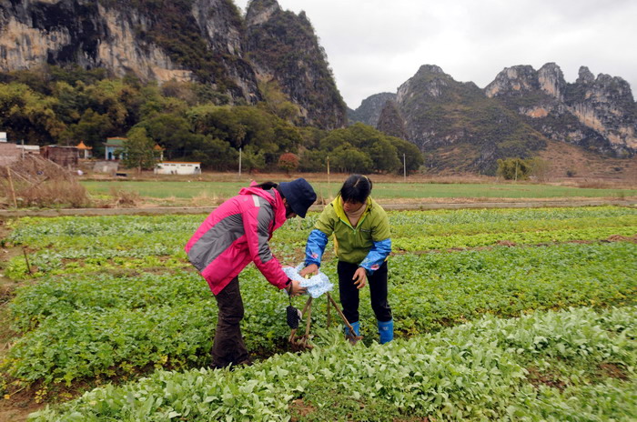 ��Ƭ 150_������С.jpg