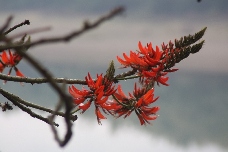 Ӣ��Ԫ�� (26).JPG