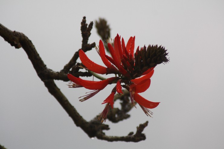 Ӣ��Ԫ�� (25).JPG