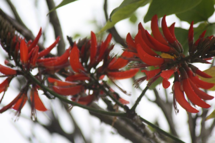 Ӣ��Ԫ�� (27).JPG