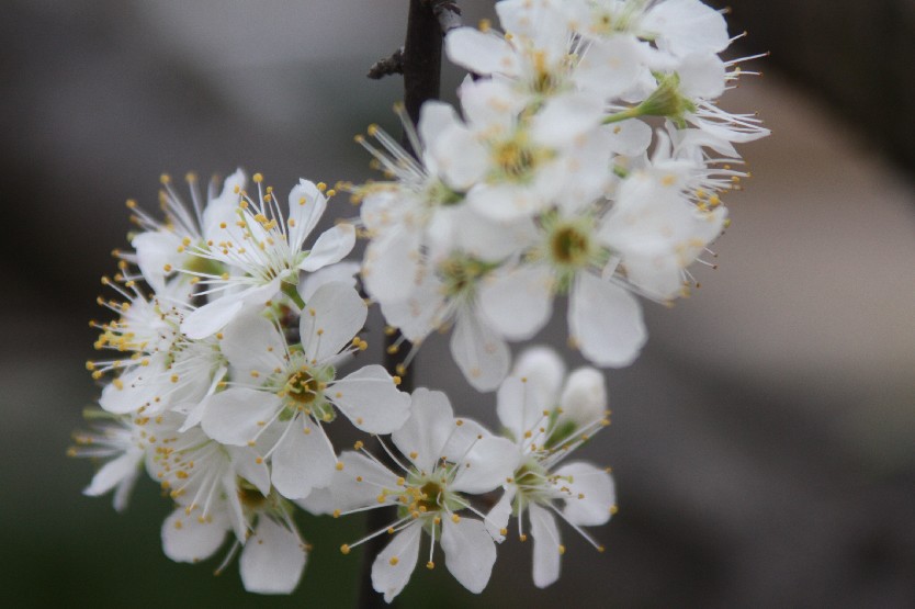 Ӣ��Ԫ�� (3).JPG