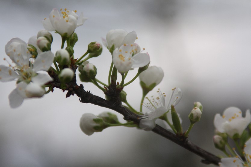 Ӣ��Ԫ�� (7).JPG