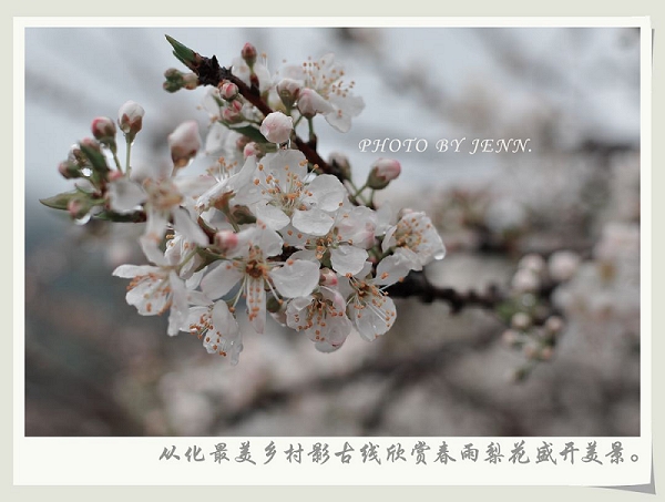 DSC_0038 С����.jpg