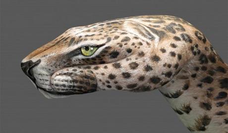 Guido Daniele-handart12.jpg