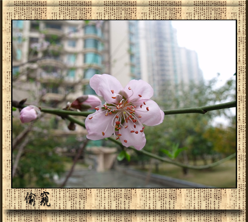 ͵�� 3_����.jpg